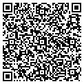 QR code with Office contacts