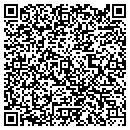QR code with Protocol Link contacts