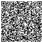 QR code with Professional Engineering contacts