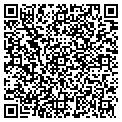 QR code with DSS Co contacts