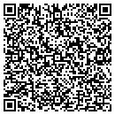 QR code with Psychedelic Wonders contacts