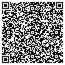 QR code with Public Storage Systs contacts