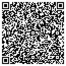 QR code with Pulse EFT Assn contacts
