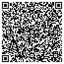 QR code with Cobb Public Library contacts