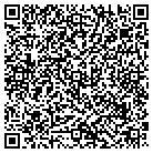QR code with Pulaski High School contacts