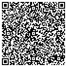 QR code with Professional Chimney Serv contacts