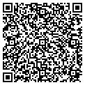QR code with Vices contacts