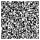 QR code with Project Youth contacts