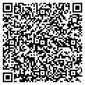 QR code with Fenlon contacts