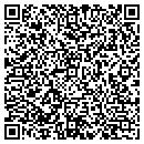 QR code with Premium Windows contacts