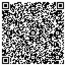 QR code with Borg Inc contacts