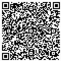 QR code with Cindys contacts