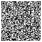 QR code with Pulaski Public Library contacts