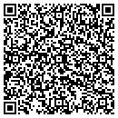 QR code with Cygnet Shoppe contacts
