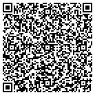 QR code with Badger Midwest Holdings contacts