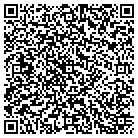 QR code with Public Safety Department contacts