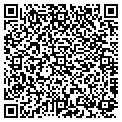 QR code with I G S contacts