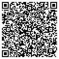 QR code with Dewalt contacts