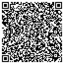 QR code with Professional Business contacts