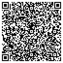 QR code with Pyramid Flowers contacts