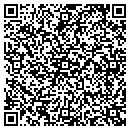 QR code with Preview Publications contacts