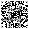 QR code with Ollies contacts