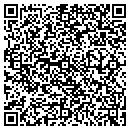 QR code with Precision Auto contacts