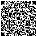 QR code with Process Strategies contacts