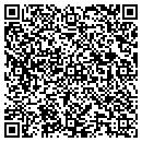 QR code with Professional Detail contacts
