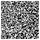 QR code with CD&e Property Caretaking contacts