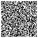 QR code with Pro Auto Details Inc contacts