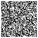 QR code with Pro Logic Inc contacts