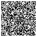 QR code with Pier 1 contacts