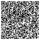 QR code with Pulmonary Services contacts