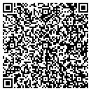 QR code with Carlson Masonry Inc contacts