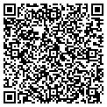 QR code with Scores contacts