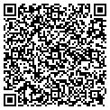 QR code with Alltel contacts