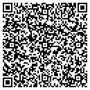QR code with PSG & R Industries contacts