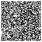 QR code with Pine View Pre-Owned Auto & Service contacts