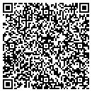 QR code with Prologic Inc contacts