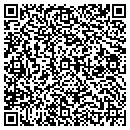 QR code with Blue Ridge Clinic Ltd contacts