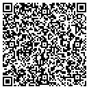QR code with Pre Owned Auto Sales contacts