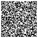 QR code with Prg01software contacts