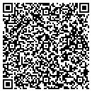 QR code with Preferred Surfaces contacts