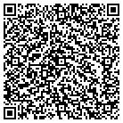 QR code with Public Information contacts