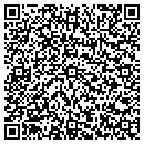 QR code with Process Strategies contacts