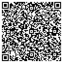 QR code with Chapmanville Florist contacts