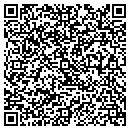 QR code with Precision Door contacts