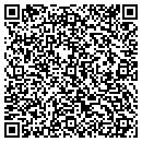 QR code with Troy Systems Intl Inc contacts