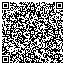 QR code with Styling Post contacts